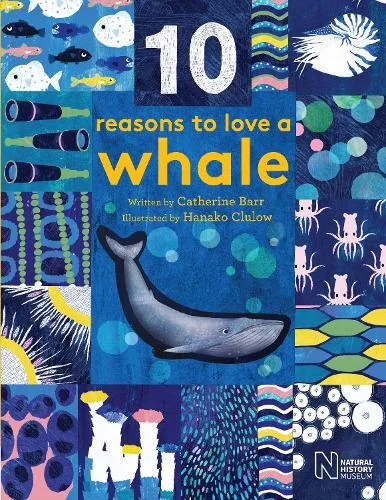 10 Reasons to Love a... Whale - 10 reasons to love a... — Hardback cover